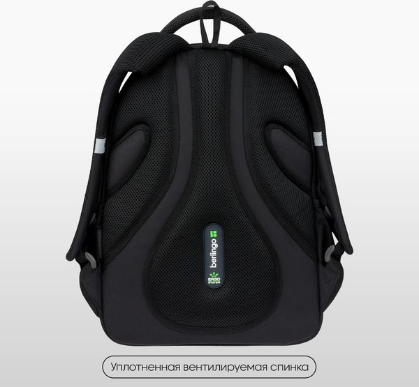 Школьный рюкзак Berlingo ErgoFlex. Youth Fusion / RU-FL-2502
