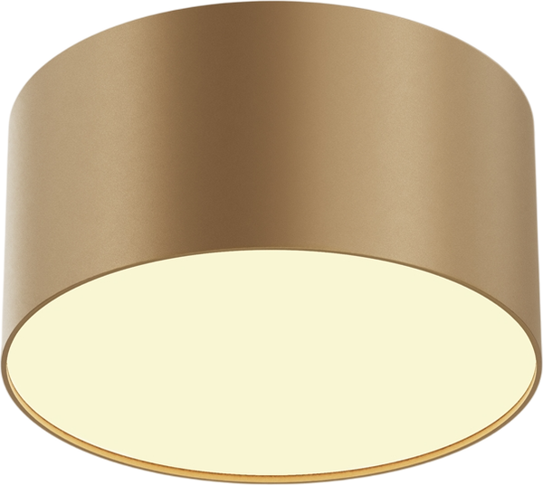 Потолочный светильник Maytoni Zon C032CL-12W2.7K-RD-MG - фото