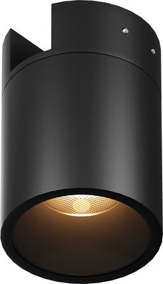 Светильник уличный Maytoni Alfa O-TR01-2-S-16WB3K - фото