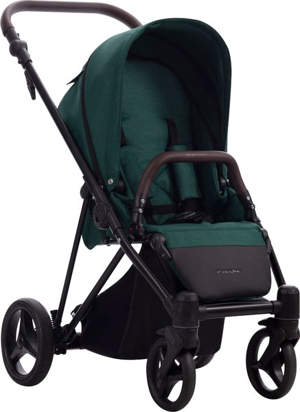 Детская прогулочная коляска Bebetto Filippo - фото