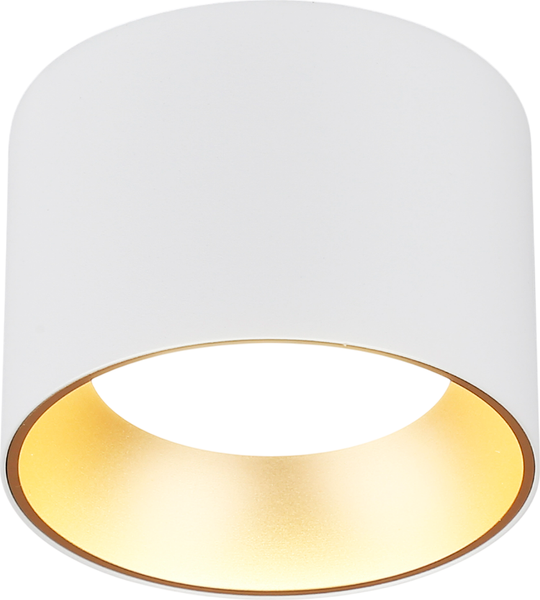 Точечный светильник Ambrella TN52882 SWH/SGD - фото