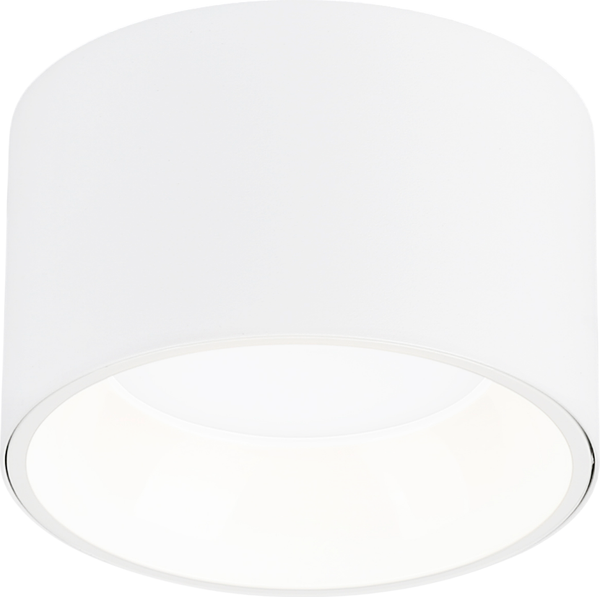 Точечный светильник Ambrella TN52892 SWH/GWH - фото