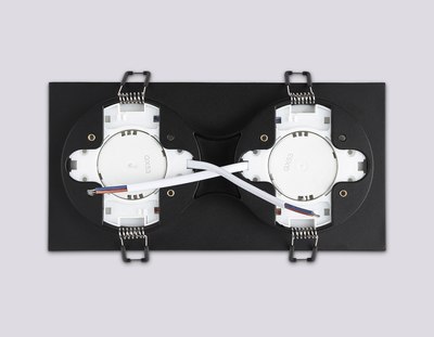 Точечный светильник Ambrella TN52424/2 BK/FR