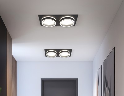 Точечный светильник Ambrella TN52424/2 BK/FR