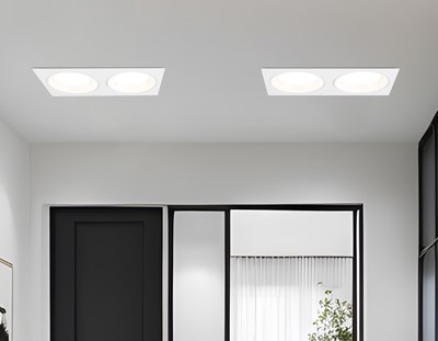 Точечный светильник Ambrella TN52343/2 SWH/GWH