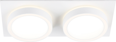 Точечный светильник Ambrella TN52423/2 WH/FR - фото