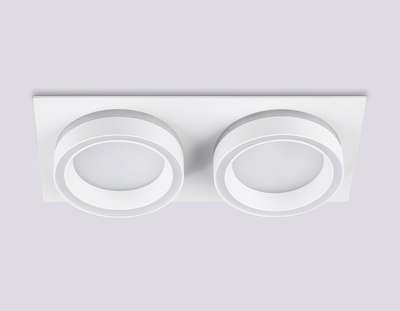 Точечный светильник Ambrella TN52423/2 WH/FR