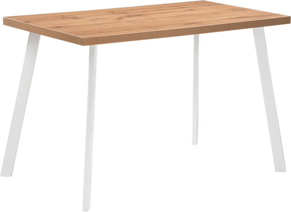 Обеденный стол Notta Тринити Лофт 120x80x75 25 мм - фото