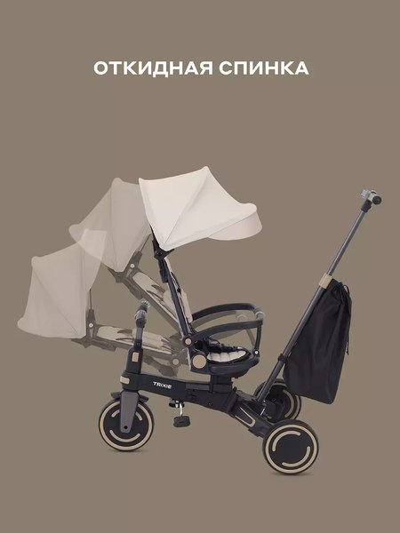 Трехколесный велосипед с ручкой MOWbaby Trixie MC055