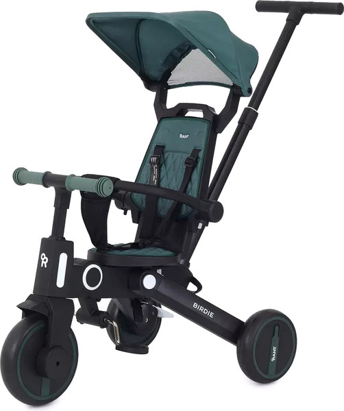 Трехколесный велосипед с ручкой Rant Birdie RB202 - фото