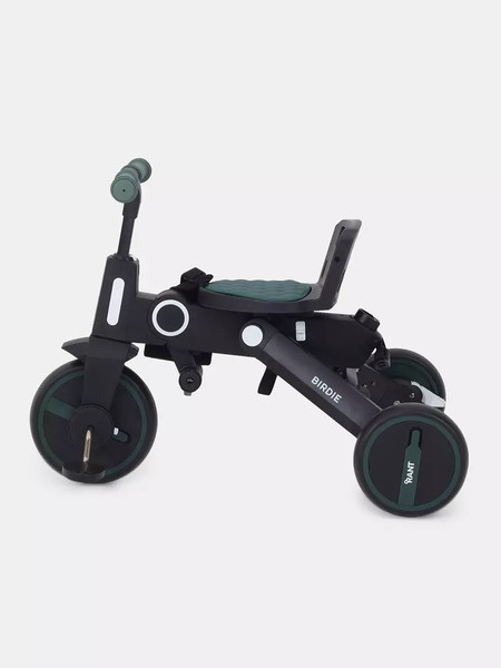 Трехколесный велосипед с ручкой Rant Birdie RB202