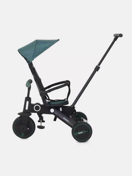 Трехколесный велосипед с ручкой Rant Birdie RB202