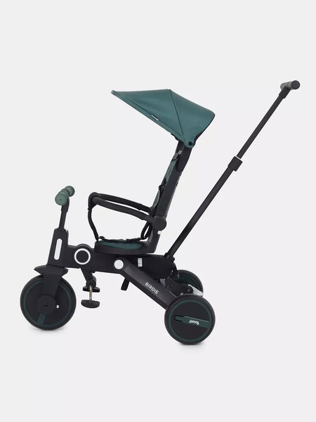 Трехколесный велосипед с ручкой Rant Birdie RB202