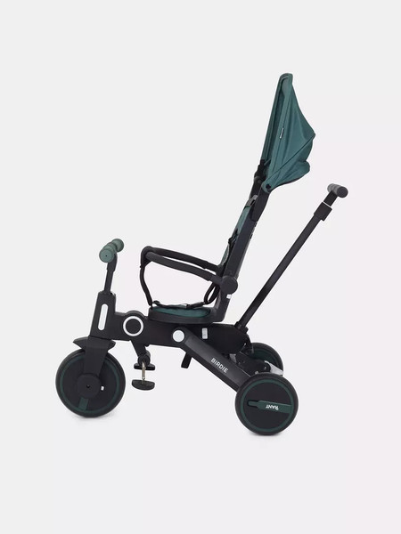 Трехколесный велосипед с ручкой Rant Birdie RB202