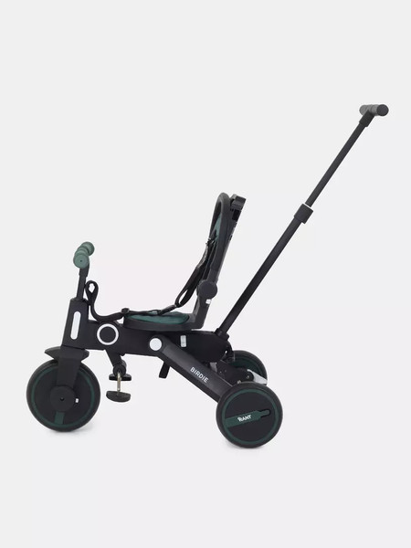 Трехколесный велосипед с ручкой Rant Birdie RB202