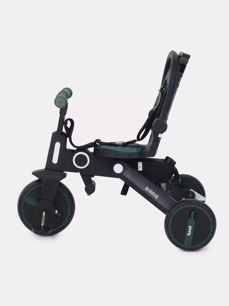 Трехколесный велосипед с ручкой Rant Birdie RB202