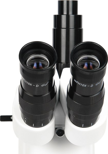 Микроскоп оптический Микромед MC-A-0650 Trino / 31305