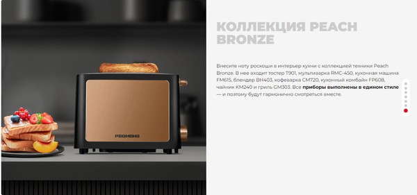 Тостер Redmond T901 (черный/бронзовый)