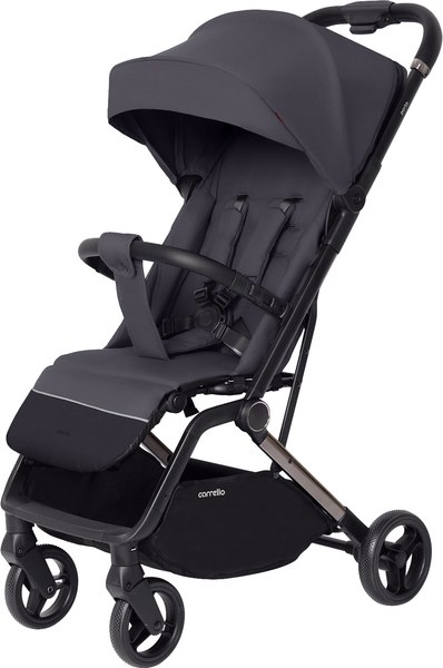 Детская прогулочная коляска Carrello Porto CRL-5522 - фото