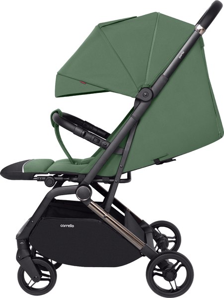 Детская прогулочная коляска Carrello Porto CRL-5522