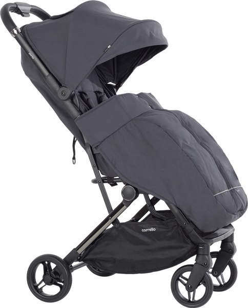 Детская прогулочная коляска Carrello Porto CRL-5522