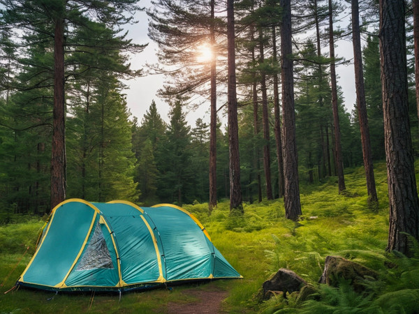 Палатка Coyote Dakota / CL-A08-Green