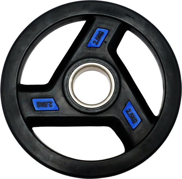 Диск для штанги UNIX Fit Pro / DG2_5RUBPBL - фото