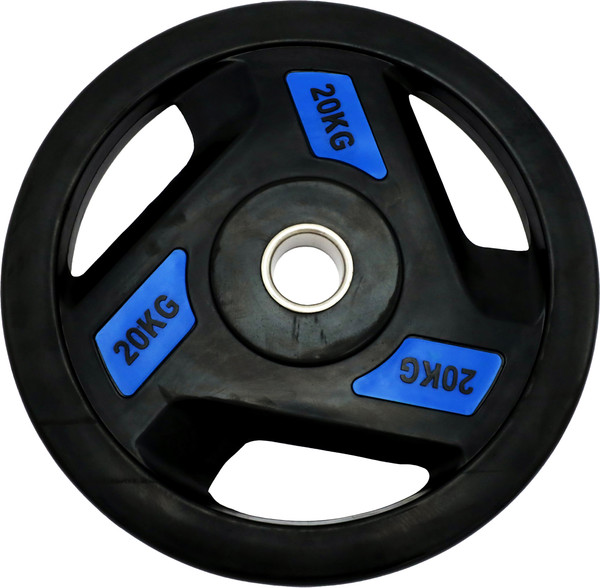 Диск для штанги UNIX Fit Pro / DG20RUBPBL - фото