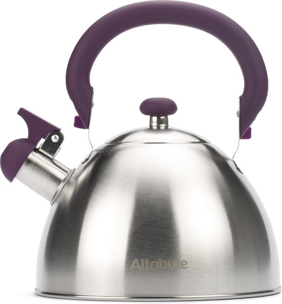 Чайник со свистком Attribute Festival ASS309 - фото