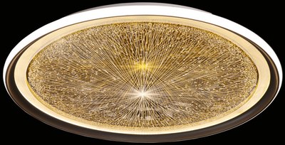 Потолочный светильник De City Норден 660014101 - фото