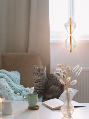 Потолочный светильник De City Оскар 510013701