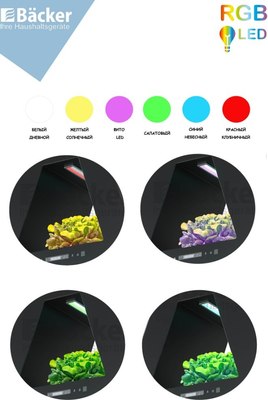 Вытяжка купольная Backer KH60Е-F1