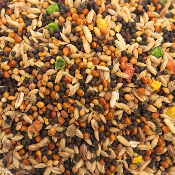 Корм для птиц Smile King Для канарейки / LKG-21