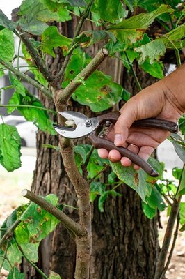 Секатор механический Obrigado 200мм D20мм / 2463