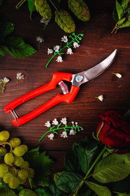 Секатор механический Obrigado 200мм D15мм / 2465