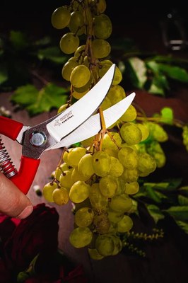 Секатор механический Obrigado 200мм D15мм / 2465