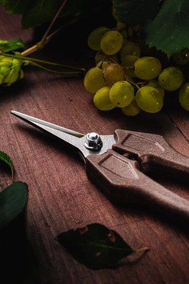 Садовые ножницы механические Obrigado 190мм D6мм / 2460