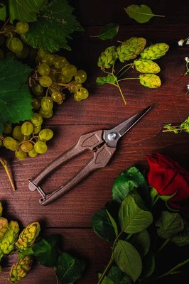 Садовые ножницы механические Obrigado 190мм D6мм / 2460