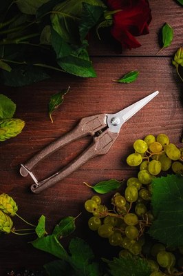 Садовые ножницы механические Obrigado 190мм D6мм / 2460