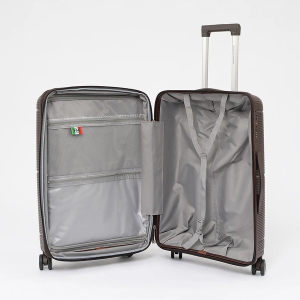 Чемодан на колесах Francesco Molinary 344-209/3-24BRW