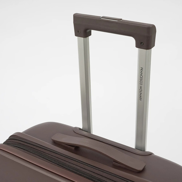 Чемодан на колесах Francesco Molinary 344-209/3-28BRW