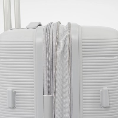 Чемодан на колесах Francesco Molinary 344-209/2-20SLV