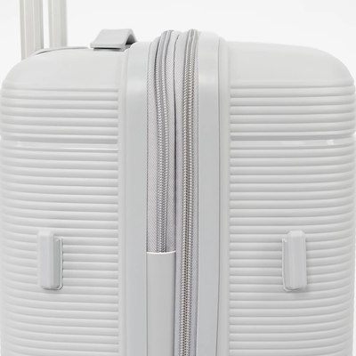 Чемодан на колесах Francesco Molinary 344-209/2-20SLV