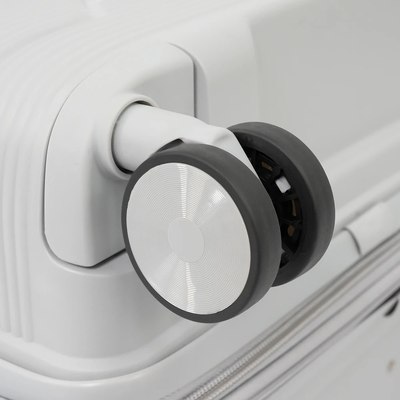 Чемодан на колесах Francesco Molinary 344-209/2-24SLV