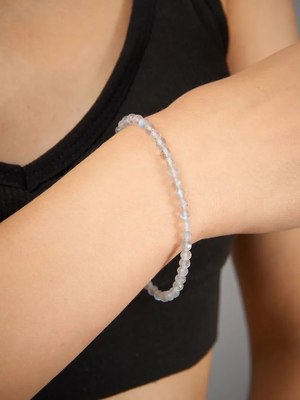 Браслет Wolves Лабрадор 5404 - фото