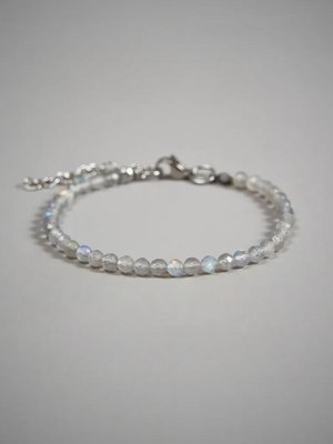 Браслет Wolves Лабрадор 5404