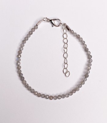 Браслет на ногу Wolves Лабрадор 5406