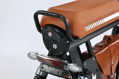 Электровелосипед Smart Balance Diplomat 2025