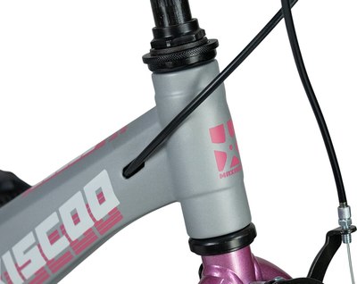 Детский велосипед Maxiscoo Space Стандарт 16 2025 / MSC-S1643