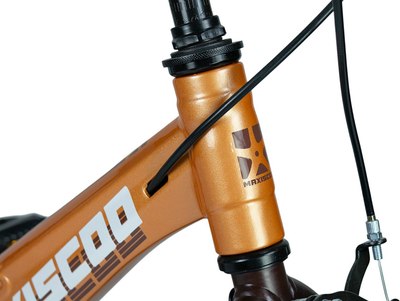 Детский велосипед Maxiscoo Space Стандарт 16 2025 / MSC-S1644